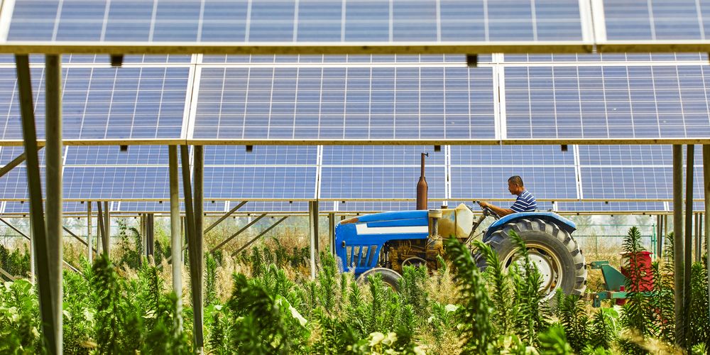 Erkenning voor agri-PV in Europese Unie