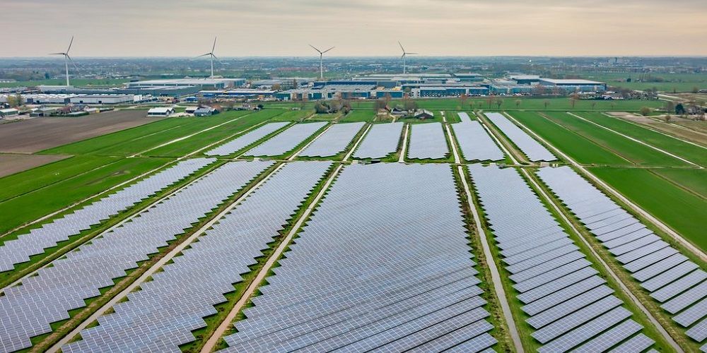 Zonneparken ‘slachtoffer van eigen succes’