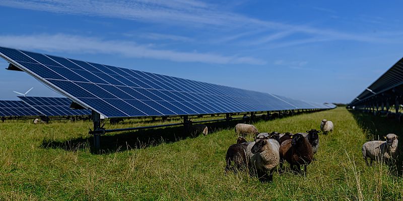 Zonder SDE++ wordt financiering van grote zonneparken steeds lastiger