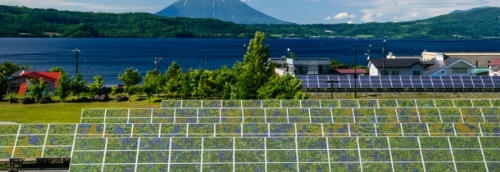 ENERGY BLENDS INTO THE ENVIRONMENT