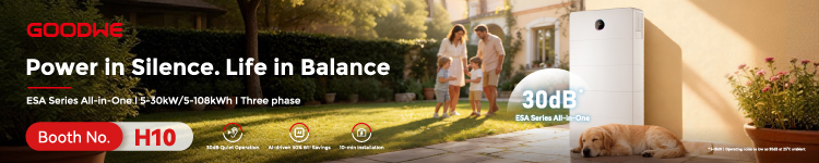Banner: GoodWe Technologies Co., Ltd.