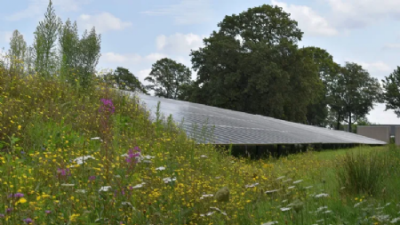 TPSolar en AIKO werken samen aan 50MW PV project in Nederland