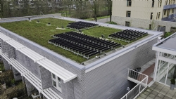 Eerste Nederlandse Groendak met Verticale Zonnepanelen