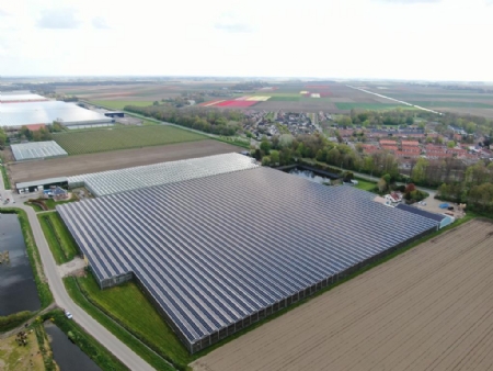 ProfiNRG maakt grootschalige toepassing zonnepanelen op kassen mogelijk