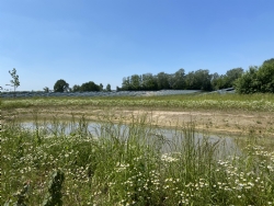 Natuurinclusief zonnepark Klarenbeek groot succes