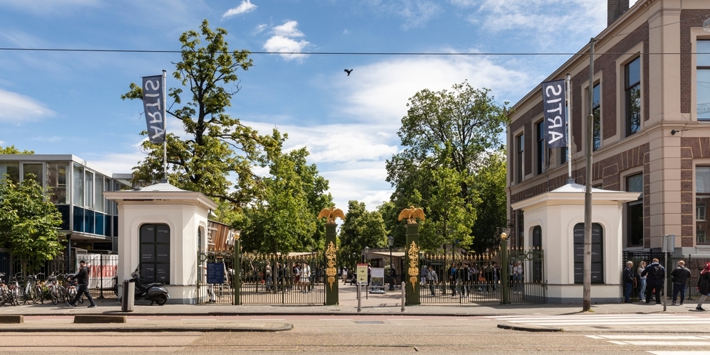 Artis krijgt 600 zonnepanelen voor verjaardag Amsterdam