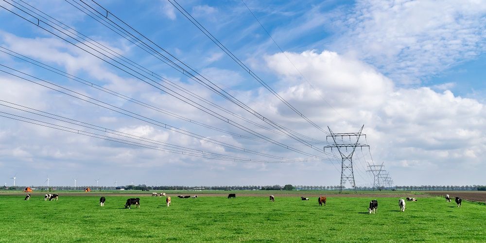 Nederlands energienet meer dan 99,99 procent betrouwbaar