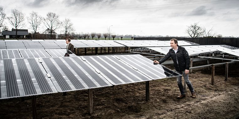 Planten en panelen, prima combinatie