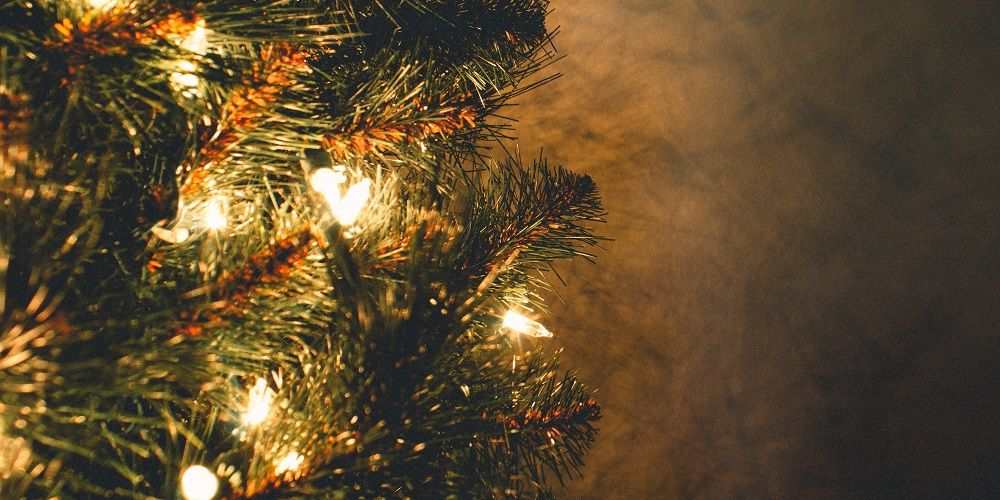 Kinderen knutselen zelf boomverlichting op zonne-energie