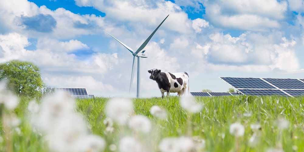 Wat gebeurt er als je vee vervangt door PV?