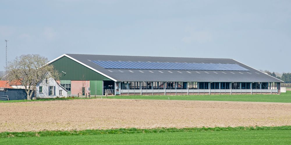 Bijna helft boeren wekt eigen energie op