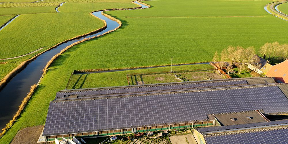 Koeien in de wei, zonnepanelen op dak