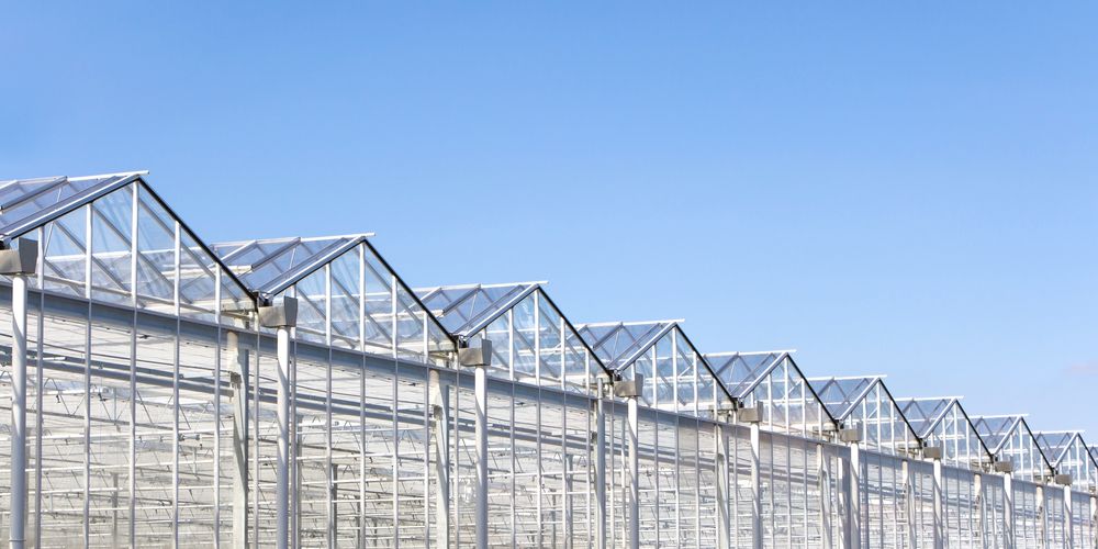 Tuinder, leg zonnepanelen op je waterbassin