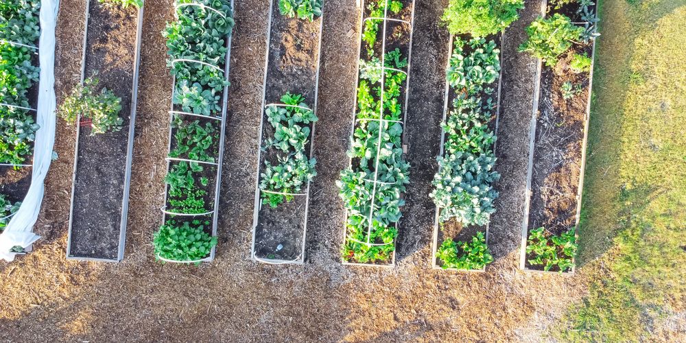 Off grid en autarkisch leven: zo kan het ook