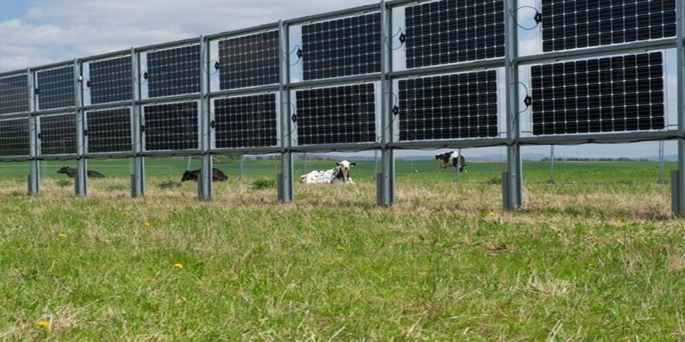 Eerste verticale veldopstelling staat in Culemborg