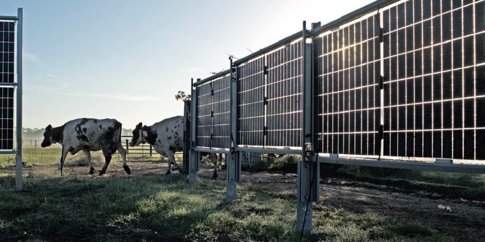 Verticale tweezijdige opwek in het veld