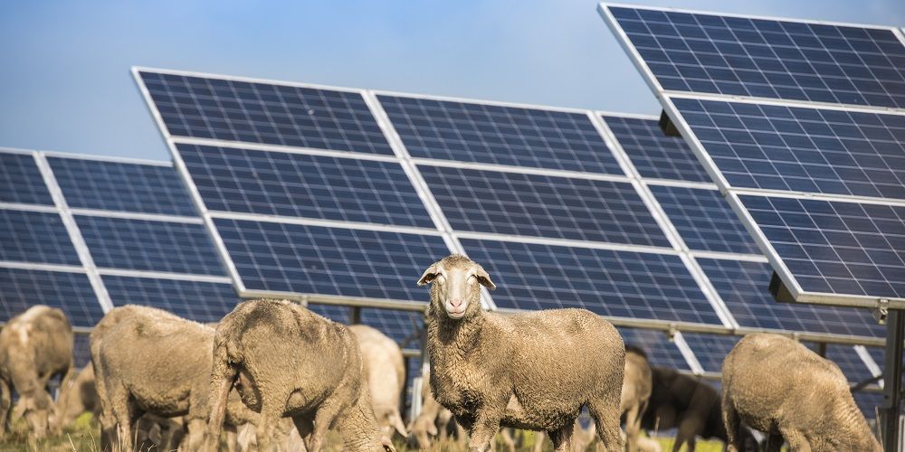 Na 20 jaar een nieuwe wetgeving voor energie: waarom nu pas?