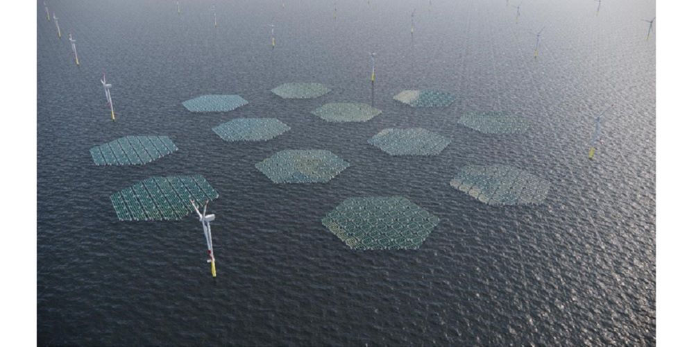 SolarDuck gaat grootste drijvende zonne-energiecentrale bouwen op offshore windpark