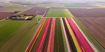 NVDE vraagt om oranje-groene energie in verkiezingsprogramma's
