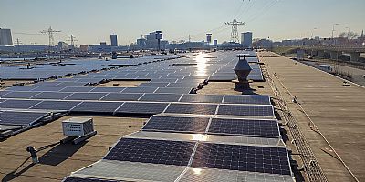 Bedrijven laten geld liggen met hun zonne-energie: “Het ligt onzichtbaar op het dak en wordt daardoor vergeten